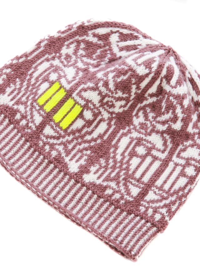 FREEDOM FLIGHT BEANIE Sample